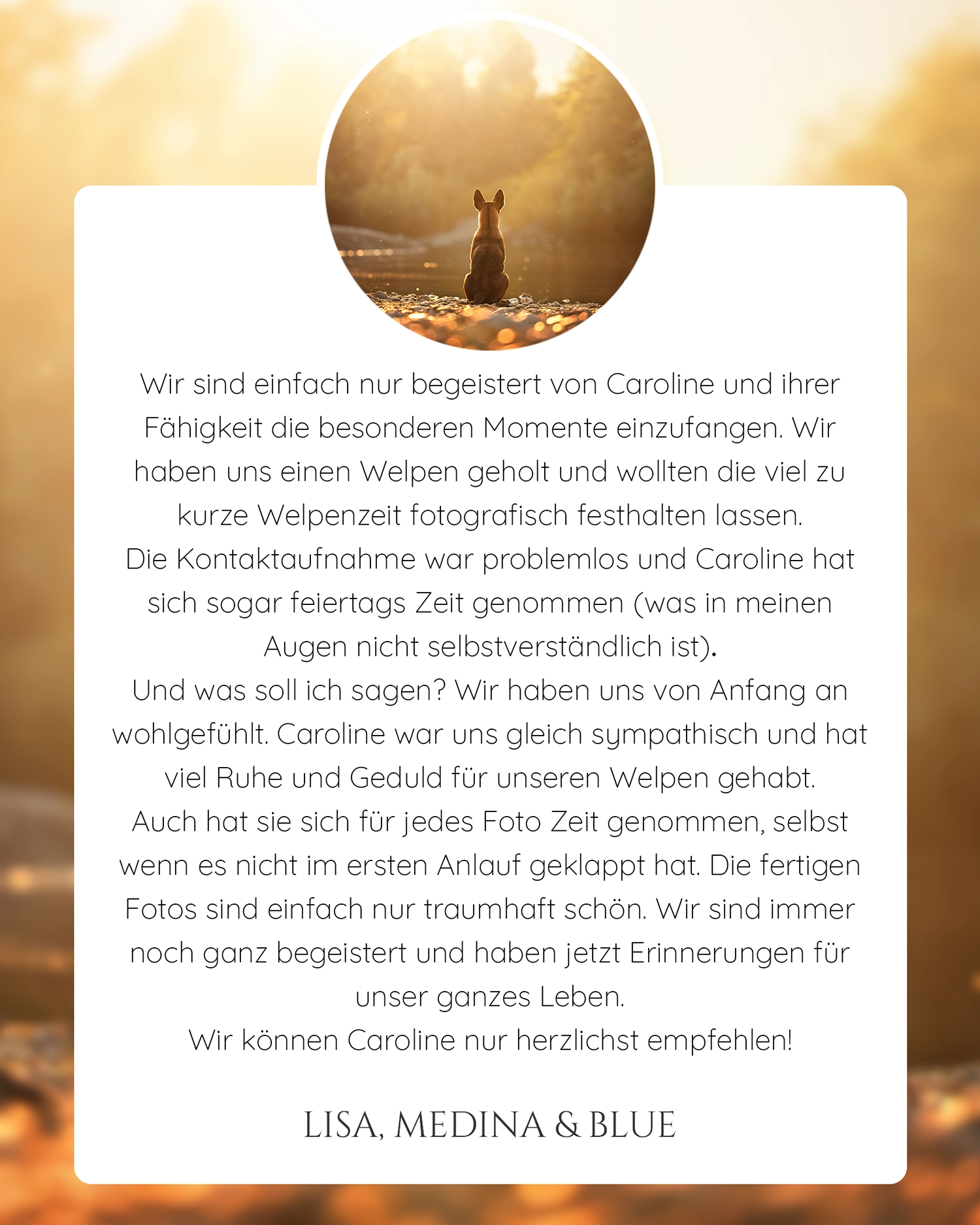 Pferdefotografie