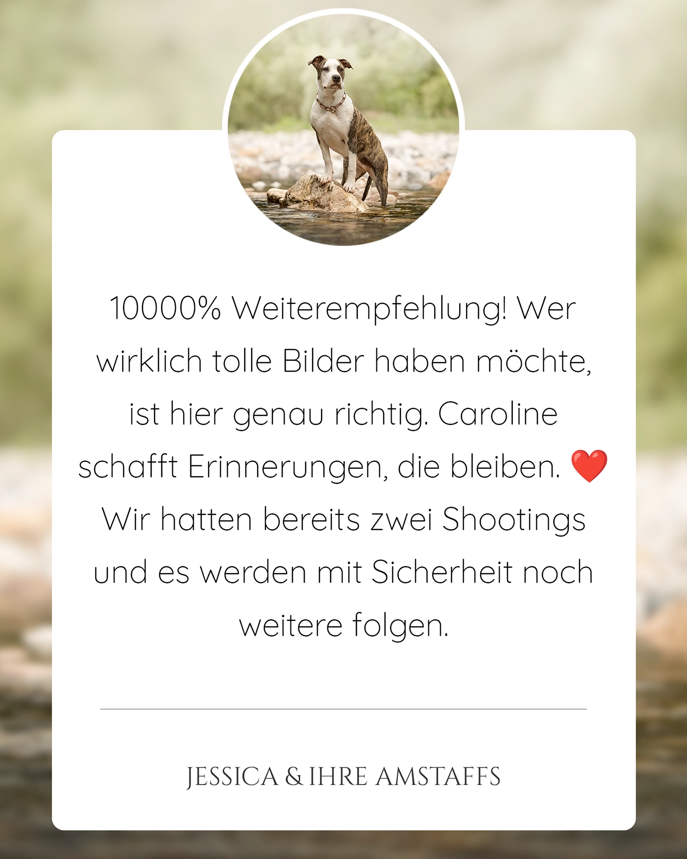 Pferdefotografie