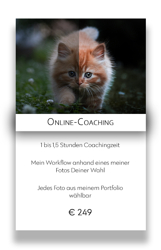 Online Coaching