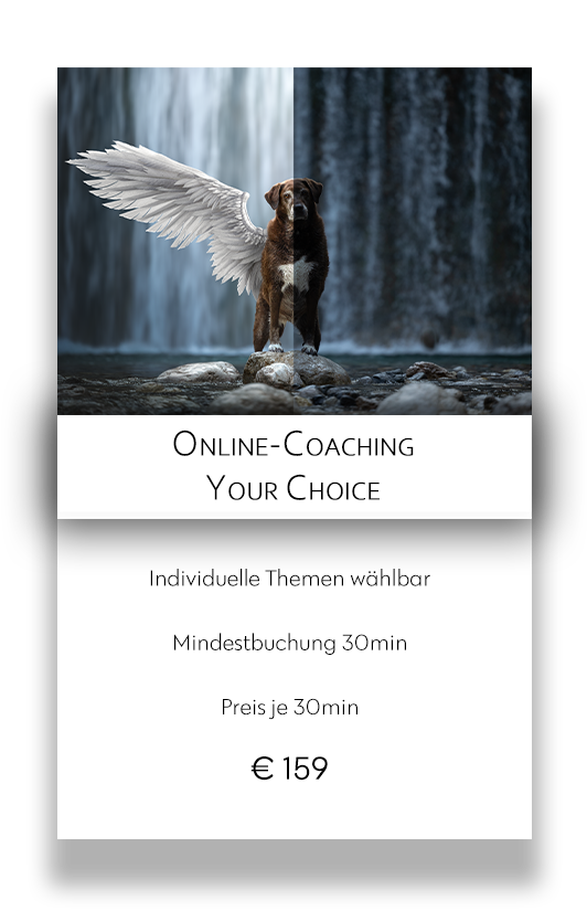 Online Coaching